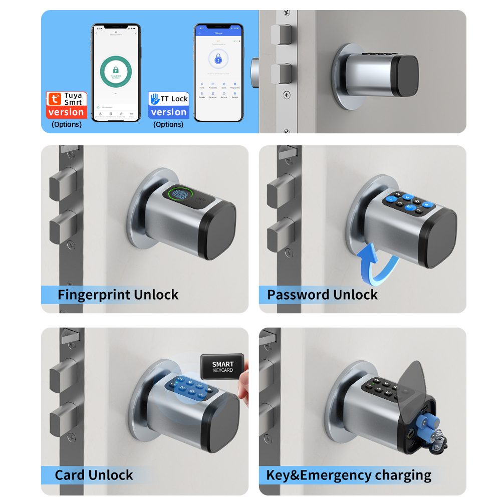 RAYKUBE V1 Tuya BLE TT Lock Sm – обзор и цена Smart Home Keyestudio