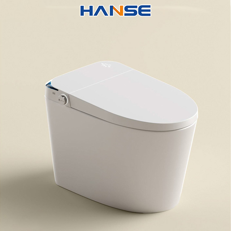 Luxury Square Smart Toilet Aut – обзор и цена Smart Home Hotel